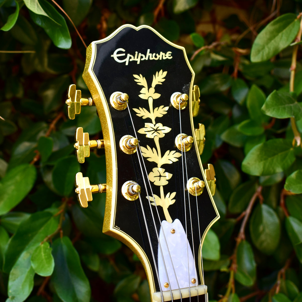Epiphone Emperor Regent CC Bigsby – 1929 Pickguards