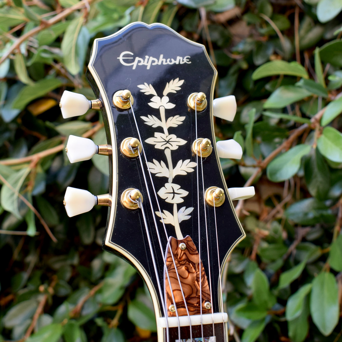 Epiphone Emperor Regent CC – 1929 Pickguards