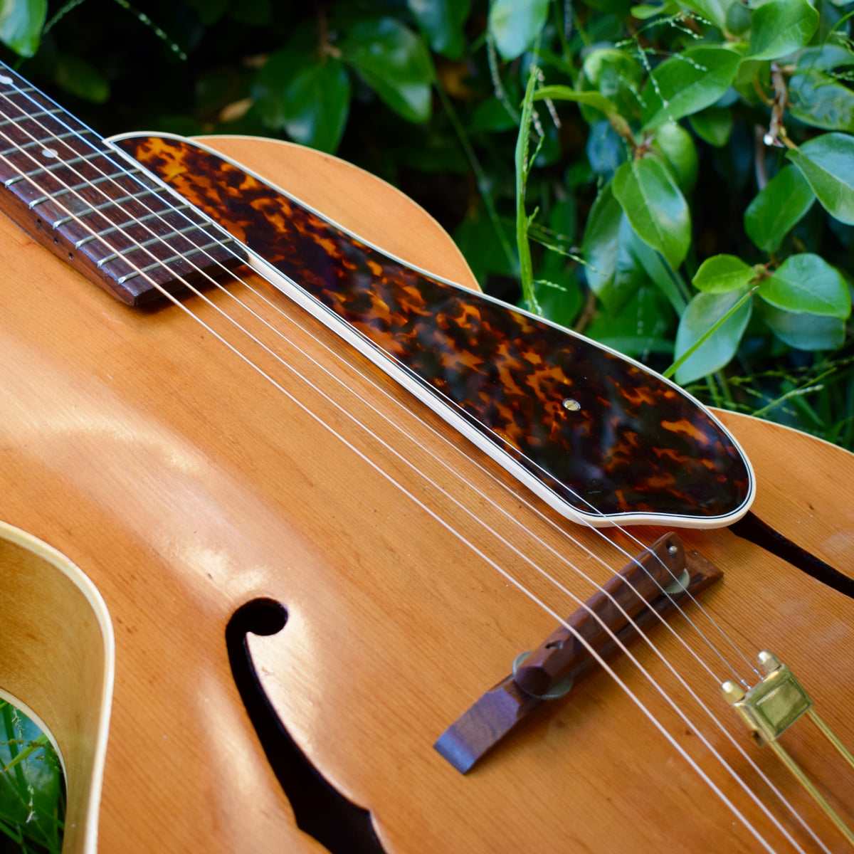 1951 Epiphone Zenith – 1929 Pickguards