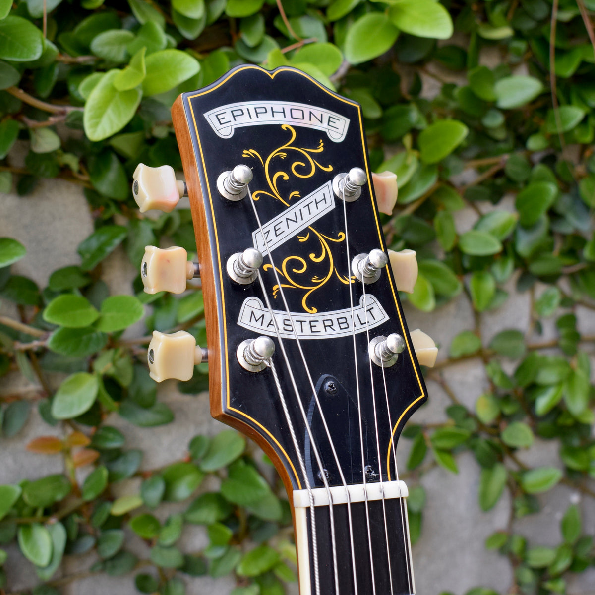 Epiphone Zenith – 1929 Pickguards