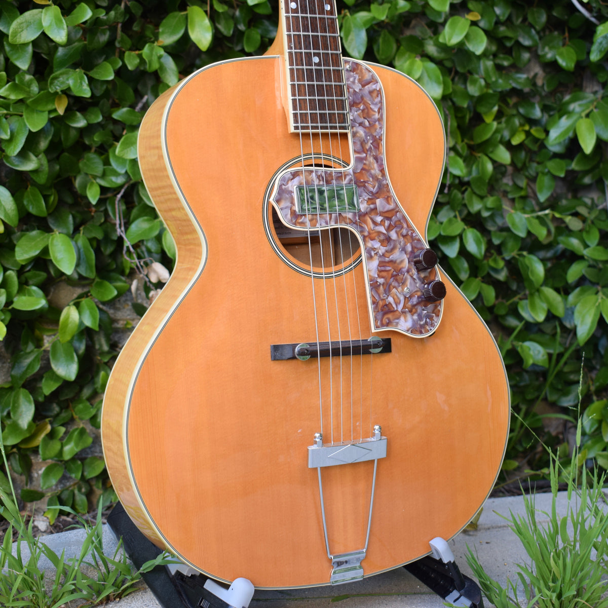 Loar LH-400 – 1929 Pickguards