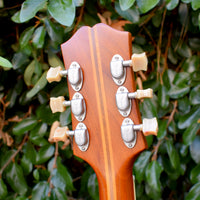 Epiphone Masterbilt Deluxe