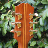 Epiphone Deluxe McCarty