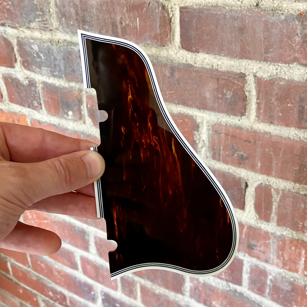 Gibson Byrdland Pickguard – 1929 Pickguards