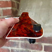 Pickup/Pickguard 01